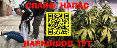 ECSTASY Абакан