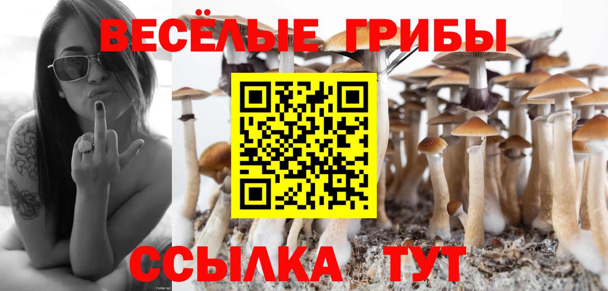 Псилоцибиновые грибы Psilocybe Симферополь