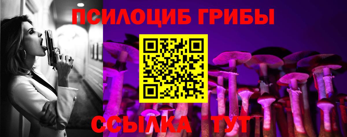 Псилоцибиновые грибы Psilocybine cubensis  Вход с VPN  где купить наркоту  Симферополь 